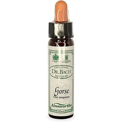 Rimedio floreale di Gorse del Dr. Bach - Supporto emotivo Rimedio floreale di Gorse del Dr. Bach - Supporto emotivo