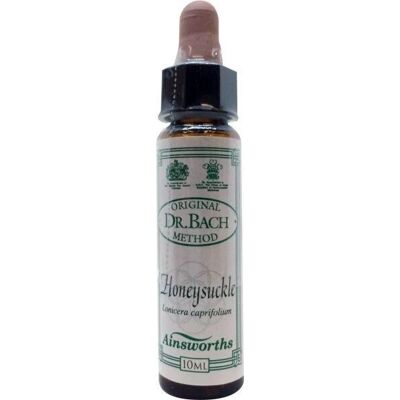 Ainsworths Gelsomino - Supporto ansia - Rimedio naturale Ainsworths Gelsomino - Supporto ansia - Rimedio naturale