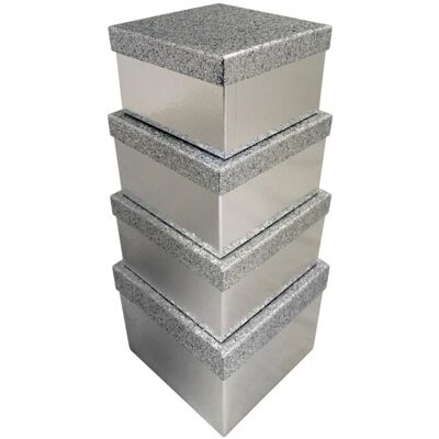 Clairefontaine X-31049-BXC Gåvokartong - Silverglitter Clairefontaine X-31049-BXC Gåvokartong - Silverglitter