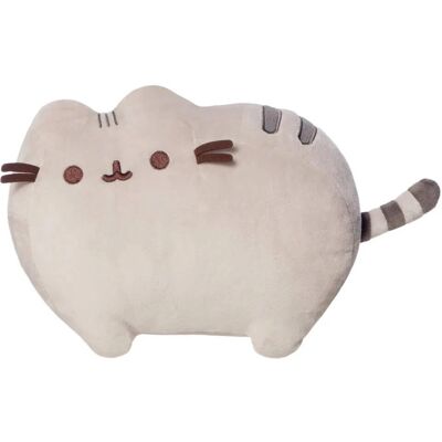 Aurora Pusheen Classic Aurora Pusheen Classic