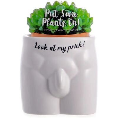 Boxer Gifts Pot de Plante Anatomie Masculine - Put Some Plants On - Publicité Boxer Gifts Pot de Plante Anatomie Masculine - Put Some Plants On - Publicité