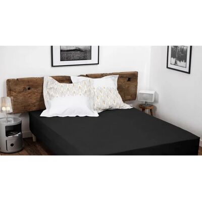 Home Linge Passion Drap-housse - 180x200cm, Coton, Eco-Tex Home Linge Passion Drap-housse - 180x200cm, Coton, Eco-Tex