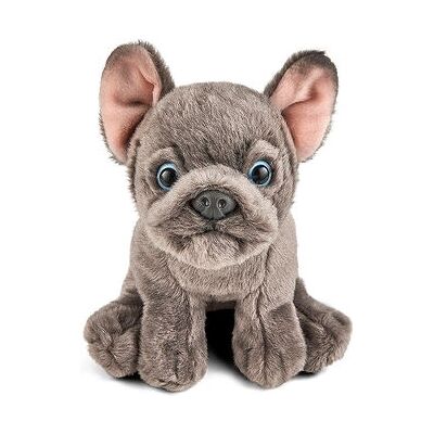 Living Nature French Bulldog Puppy Soft Toy - Realistic, Eco-Friendly, 16cm Living Nature French Bulldog Puppy Soft Toy - Realistic, Eco-Friendly, 16cm