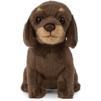 Living Nature Brown Dachshund Puppy Plush - Plush Toy Living Nature Brown Dachshund Puppy Plush - Plush Toy