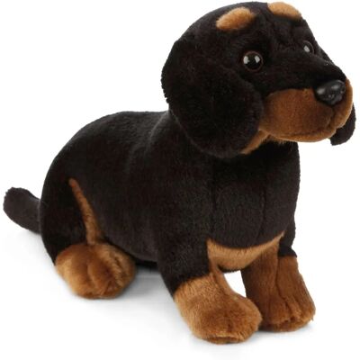 Peluches de Teckel Living Nature - Réaliste & Écologique - Publicité Peluches de Teckel Living Nature - Réaliste & Écologique - Publicité
