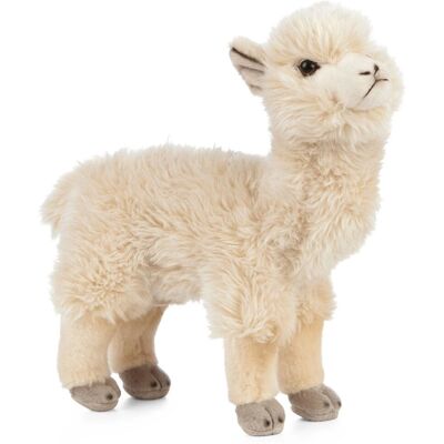Living Nature Alpaca Soft Toy - Educational Plush for Kids Living Nature Alpaca Soft Toy - Educational Plush for Kids