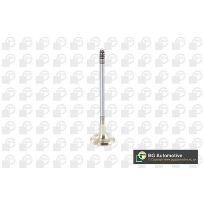 BGA V090101 Auslassventil - BMW 3, 1er, 143/170 PS BGA V090101 Auslassventil - BMW 3, 1er, 143/170 PS