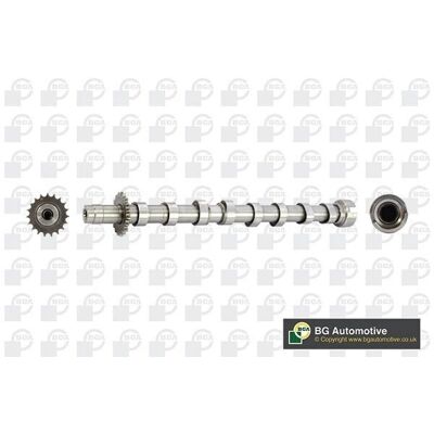 BGA CS5524 - Nockenwelle für Auslassventile - Für 2.0 D Ford Focus II, Galaxy, Kuga, Fiat, Citroën BGA CS5524 - Nockenwelle für Auslassventile - Für 2.0 D Ford Focus II, Galaxy, Kuga, Fiat, Citroën