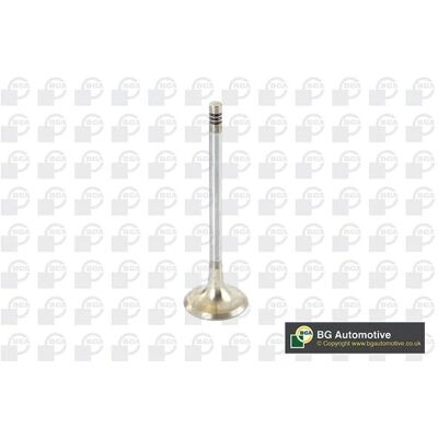 BGA Ventil - V090100 - 6 mm Durchmesser - Ventil BGA Ventil - V090100 - 6 mm Durchmesser - Ventil