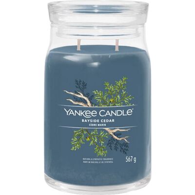 Yankee Candle Bayside Cedar Stor Glaslykt - Doft & Heminredning Yankee Candle Bayside Cedar Stor Glaslykt - Doft & Heminredning