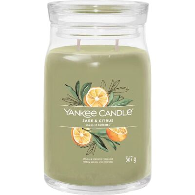 Yankee Candle Sauge & Agrumes Grande Pot-Visage - Bougie Yankee Candle Sauge & Agrumes Grande Pot-Visage - Bougie