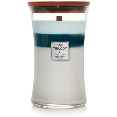 Cera WoodWick Icy Woodland - Ginepro, Magnolia, Blu Cera WoodWick Icy Woodland - Ginepro, Magnolia, Blu