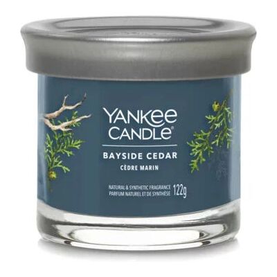 Yankee Candle Cedro Blu Firma Tumbler Piccolo - Candela Yankee Candle Cedro Blu Firma Tumbler Piccolo - Candela