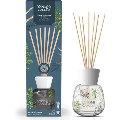 Yankee Candle Bayside Cedar Diffusor - Duftdauer 6 Wochen Yankee Candle Bayside Cedar Diffusor - Duftdauer 6 Wochen