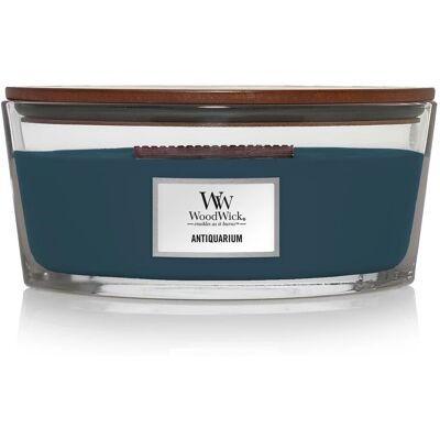 Bougie Antiquarium Ellipse de WoodWick - Parfumée - Publicité Bougie Antiquarium Ellipse de WoodWick - Parfumée - Publicité