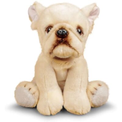 Franse Bulldog 21cm Eco Knuffel - Knuffel Franse Bulldog 21cm Eco Knuffel - Knuffel