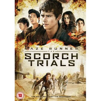 Dylan O'Brien Maze Runner: The Scorch Trials DVD - Région 2 - Publicité Dylan O'Brien Maze Runner: The Scorch Trials DVD - Région 2 - Publicité