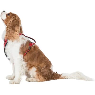 Trespass Tanked Hundesele - Rød - Stor / XL Trespass Tanked Hundesele - Rød - Stor / XL