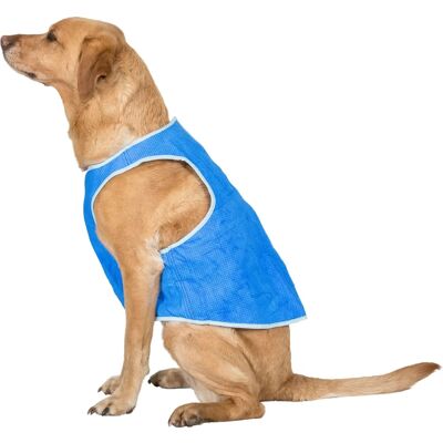 Trespass Alaska Hundekølevest - Safir - Størrelse: L Trespass Alaska Hundekølevest - Safir - Størrelse: L