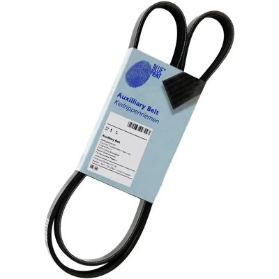 Blue Print Ford Fiesta Fusion 6PK V-ribbelriem Blue Print Ford Fiesta Fusion 6PK V-ribbelriem