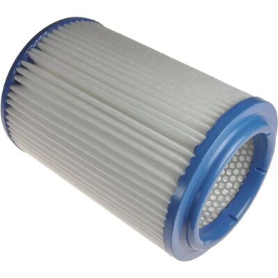 BLUE PRINT ADG022121 Luftfilter - Patron BLUE PRINT ADG022121 Luftfilter - Patron