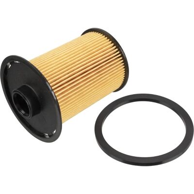 Blue Print Filtro carburante ADN12323 - Per Nissan Interstar Blue Print Filtro carburante ADN12323 - Per Nissan Interstar