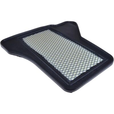 Blue Print ADA102256 Ilmansuodatin - Mitat 319x308x39mm Blue Print ADA102256 Ilmansuodatin - Mitat 319x308x39mm