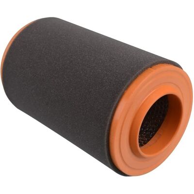 Filtro dell'aria Blue Print - Compatibile con Citroën Jumper, Fiat Ducato, Peugeot Boxer - Tipo di Prodotto Filtro dell'aria Blue Print - Compatibile con Citroën Jumper, Fiat Ducato, Peugeot Boxer - Tipo di Prodotto