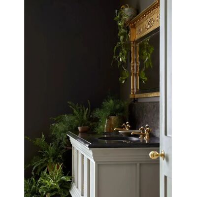 Little Greene Elysian Ground Eggshell - Paint Little Greene Elysian Ground Eggshell - Paint