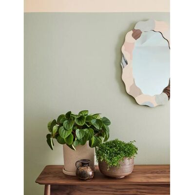 The Little Greene Paint Company - Absolute Matt Emulsion The Little Greene Paint Company - Absolute Matt Emulsion