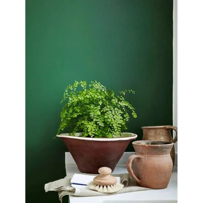 Little Greene Absolute Matt Emulsion - Strong Greens - 5l - Dark Brunswick Green 88 - Paint Little Greene Absolute Matt Emulsion - Strong Greens - 5l - Dark Brunswick Green 88 - Paint