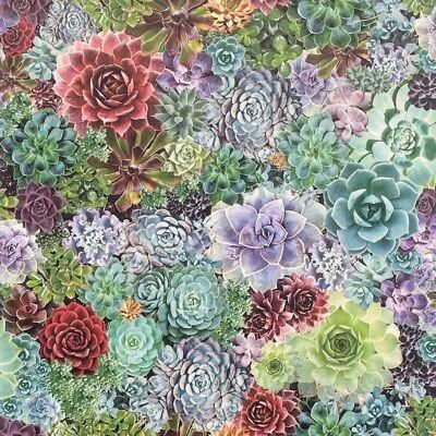 Arthouse Succulent Living Wall Multicoloured Wallpaper - Wallcovering Arthouse Succulent Living Wall Multicoloured Wallpaper - Wallcovering
