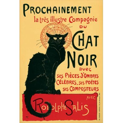 Pyramid International PP0508 Poster Gatto - Poster Pyramid International PP0508 Poster Gatto - Poster