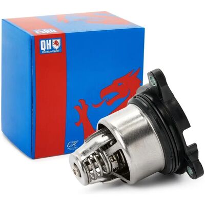 Quinton Hazell - QTH1113K - 103 pakning Quinton Hazell - QTH1113K - 103 pakning