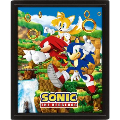 Pyramid International Sonic The Hedgehog 3D-Poster - 26x20cm Pyramid International Sonic The Hedgehog 3D-Poster - 26x20cm