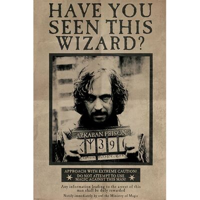 Pyramid Harry Potter Sirius Black Poster - 61x91 cm - Wanddecoratie Pyramid Harry Potter Sirius Black Poster - 61x91 cm - Wanddecoratie