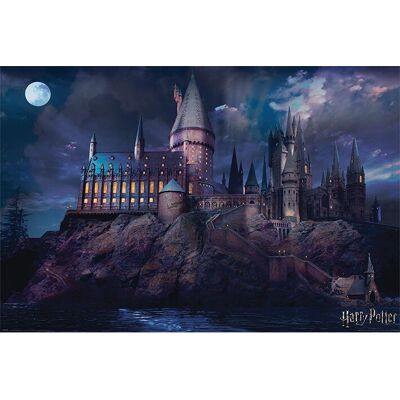 Pyramid Harry Potter Hogwarts Maxi Poster - poszter Pyramid Harry Potter Hogwarts Maxi Poster - poszter