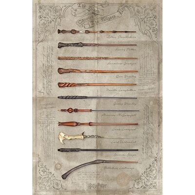 Harry Potter PP34395 Hoogwaardige Poster - Wanddecoratie Harry Potter PP34395 Hoogwaardige Poster - Wanddecoratie