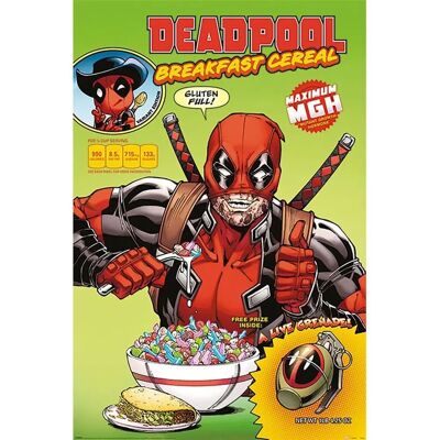 Posters Dead Pool Pyramid International - 61x91cm - Pack de 5 - Publicité Posters Dead Pool Pyramid International - 61x91cm - Pack de 5 - Publicité