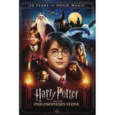 Harry Potter Poster Pack - 20 Jaar Film Magie - 61 x 91 cm - 4 stuks Harry Potter Poster Pack - 20 Jaar Film Magie - 61 x 91 cm - 4 stuks