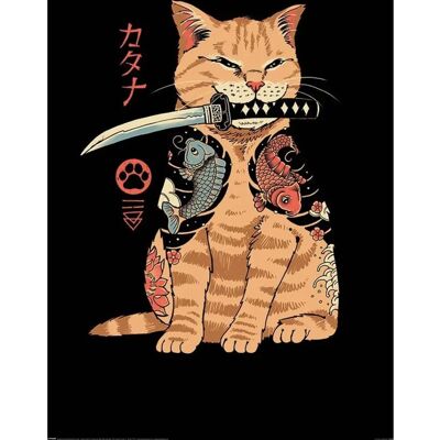 Vincent Trinidad Piramide - Poster Catana - 91,5 x 61 cm Vincent Trinidad Piramide - Poster Catana - 91,5 x 61 cm