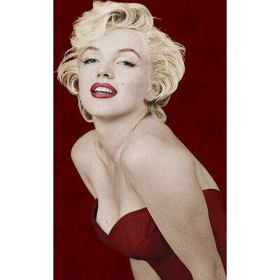 Pyramid International WDC95401 Poster - Poster Pyramid International WDC95401 Poster - Poster