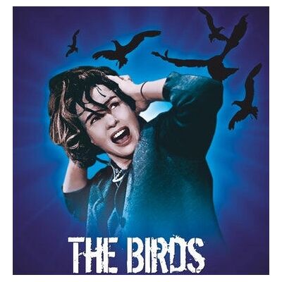 SF Studios The Birds Blu-ray - Blu-ray SF Studios The Birds Blu-ray - Blu-ray