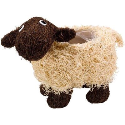 Garden Mile Novelty Sheep Flower Planter - Plant Pot Garden Mile Novelty Sheep Flower Planter - Plant Pot