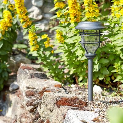 Smartsolar Capri Solar Gartenweglicht Smartsolar Capri Solar Gartenweglicht