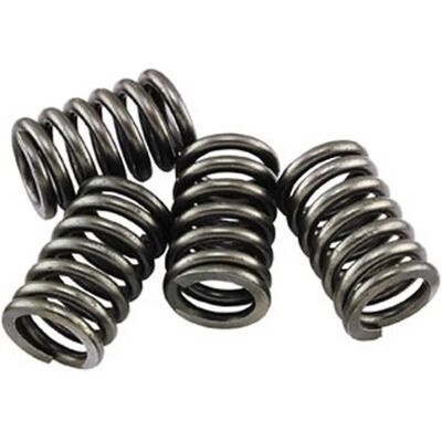 EBC CSK141 - Mollette frizione per GAS GAS SUZUKI EBC CSK141 - Mollette frizione per GAS GAS SUZUKI