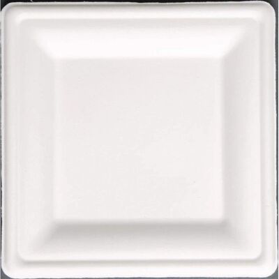 Fiesta Green Square Compostable Bagasse Plates - 50 pcs Fiesta Green Square Compostable Bagasse Plates - 50 pcs