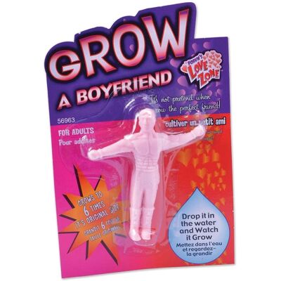 Bristol Novelty Grow A Boyfriend Costume Rose - Costume - Publicité Bristol Novelty Grow A Boyfriend Costume Rose - Costume - Publicité