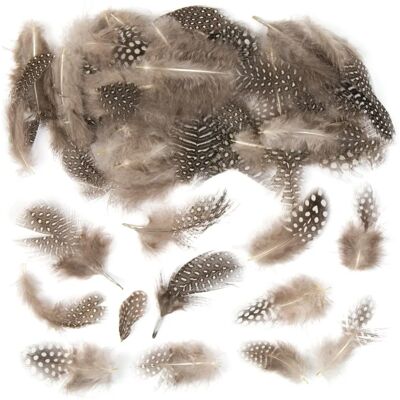 Plumes Naturelles - Pack de 120 Couleurs et Tailles - Costumes & Collages Plumes Naturelles - Pack de 120 Couleurs et Tailles - Costumes & Collages