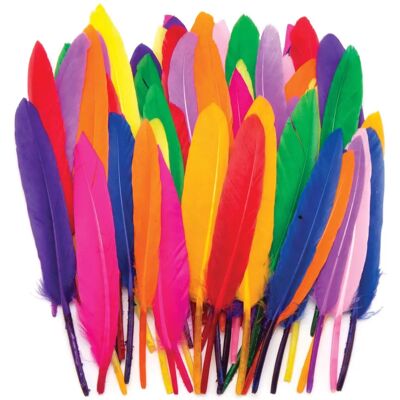 Plumes colorées Faber-Castell - 80 petites plumes - Accessoires de bricolage Plumes colorées Faber-Castell - 80 petites plumes - Accessoires de bricolage